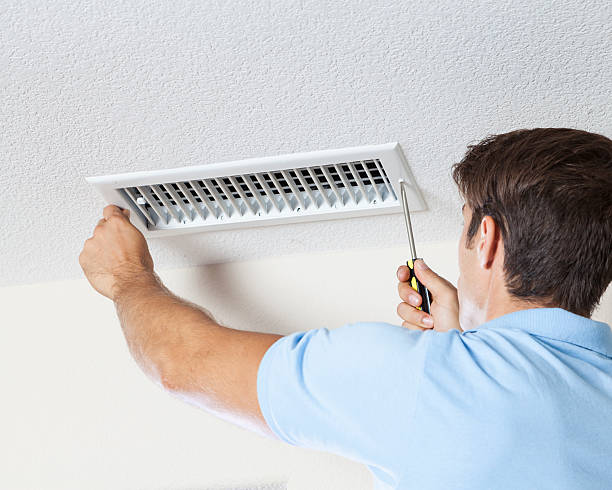 Mariposa, CA Mold Removal Company